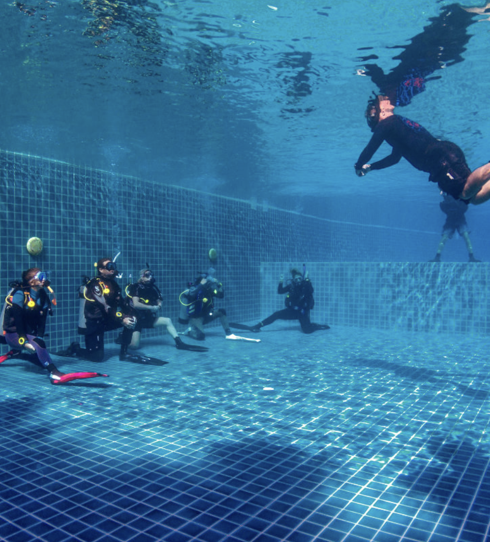 apprentissage plongeurs piscine